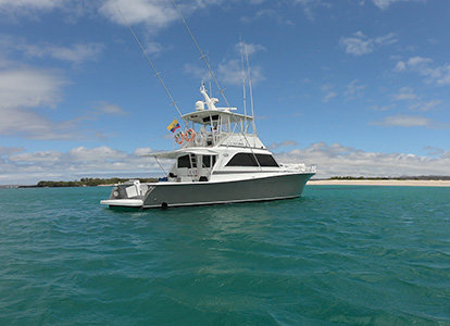 Ferry en medio del mar.
