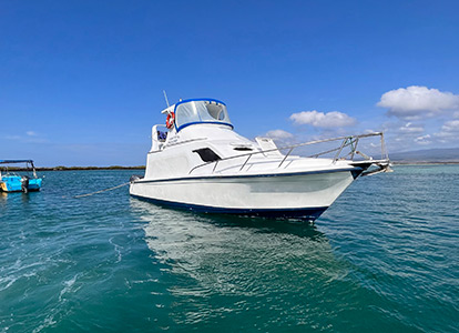 Ferry en la isla Isabela.