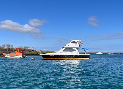 Ferry en la isla Santa Cruz.
